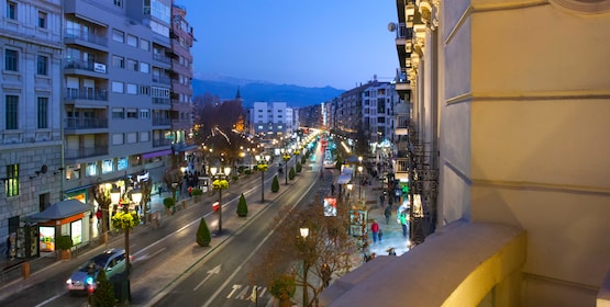 NH Collection Granada Victoria